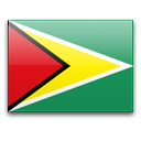 Гайана — официальный флаг