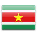 Суринам — официальный флаг
