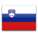 Словения — официальный флаг