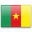 Камерун, официальный флаг