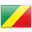 Конго, Республика, официальный флаг