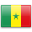 Сенегал, официальный флаг
