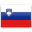 Словения, официальный флаг