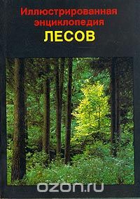 Ян Еник / Иллюстрированная энциклопедия лесов / Раньше лес упрощённо считали «средой, в которой растёт большое ...